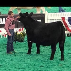 Meet your Posher, Ethan